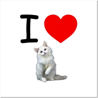 I HEART WHITE FLUFFY PERSIAN KITTEN Posters and Art